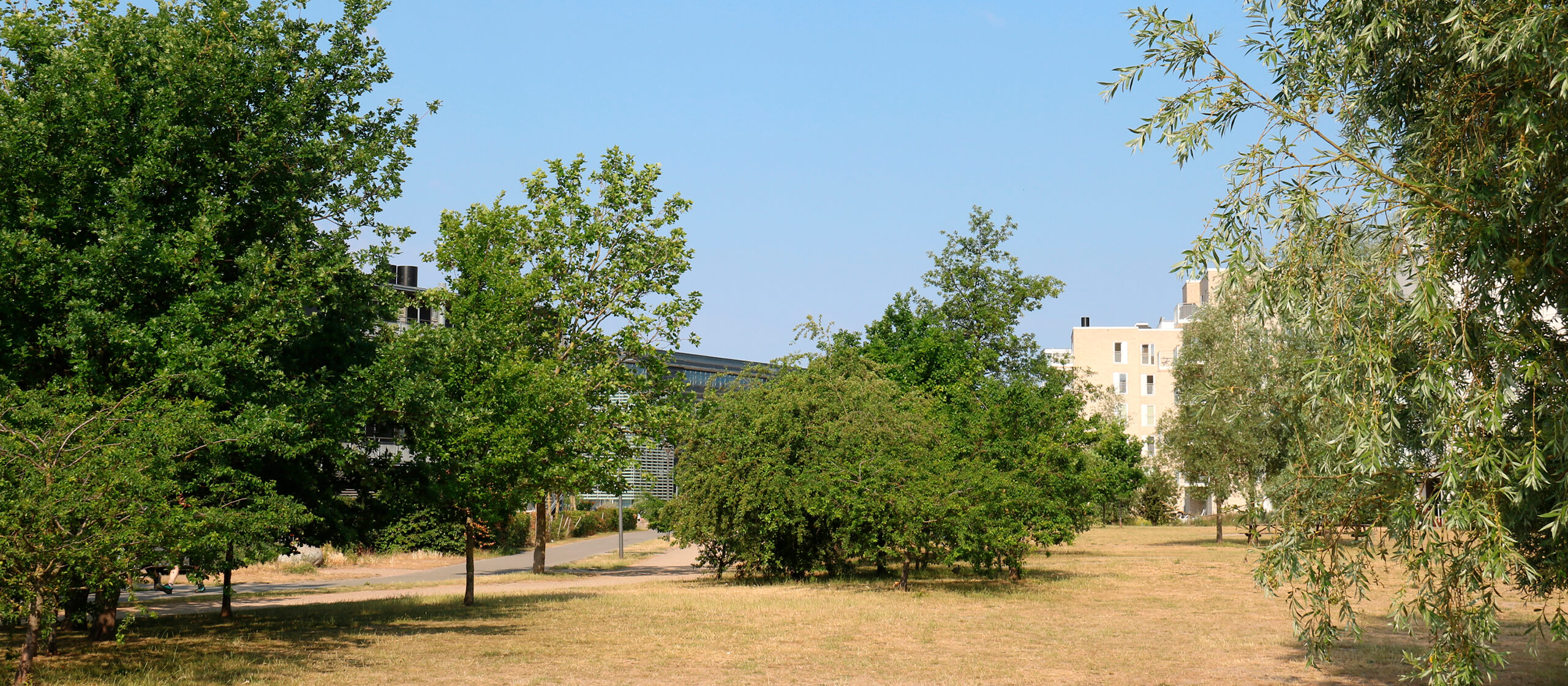 Teglholmen